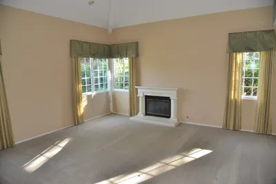 DSC_7337 (Large).JPG